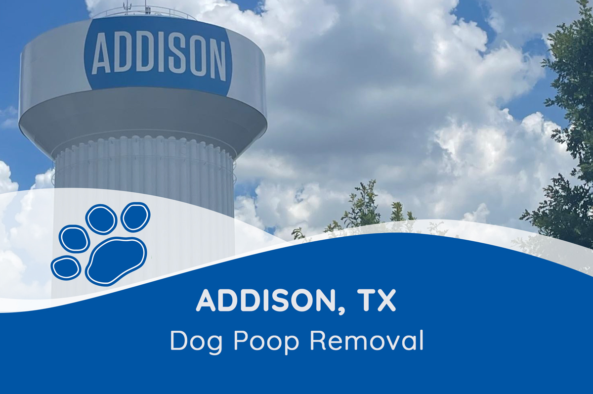 Addison TX Dog Poop Removal | Pet Waste Inc