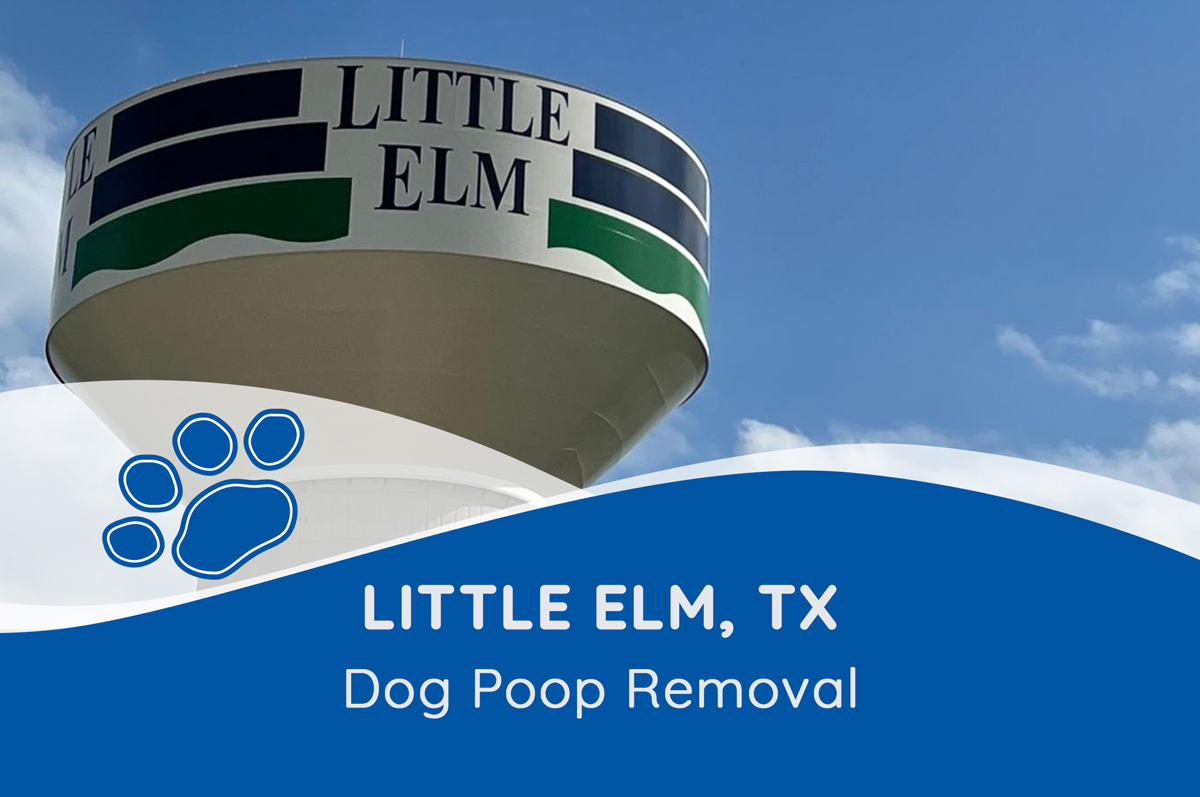 Little Elm Poop Scooper Pet Waste Inc